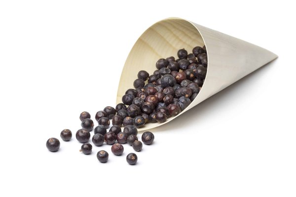 Quels styles de sacs en bandoulière s'harmonisent le mieux avec des tenues de week-end décontractées ?