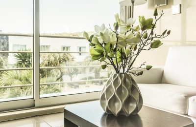 Pourquoi choisir des plantes pour décorer votre salon ?